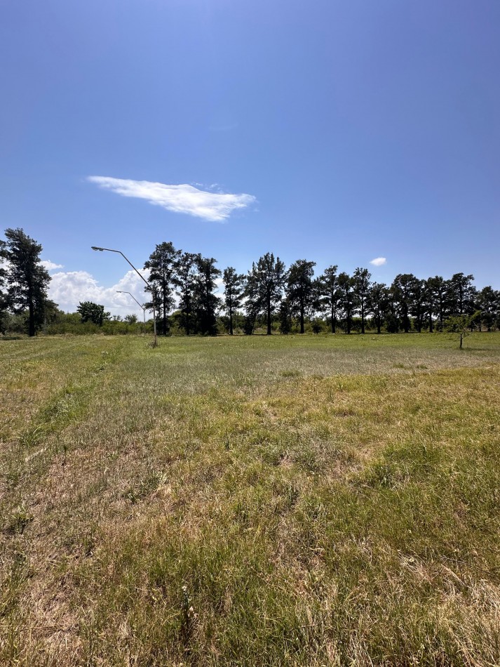 LOTES EN SAUCE VIEJO, LISTOS PARA ESCRITURAR