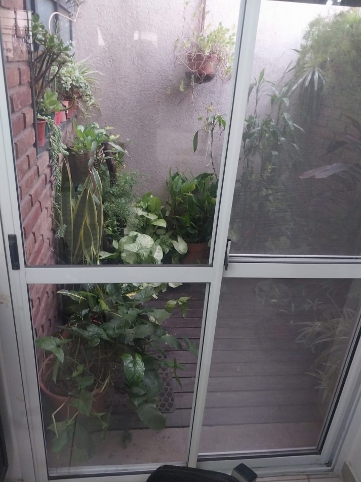 DEPARTAMENTO 2 DORMITORIOS CON PATIO EXCLUSIVO