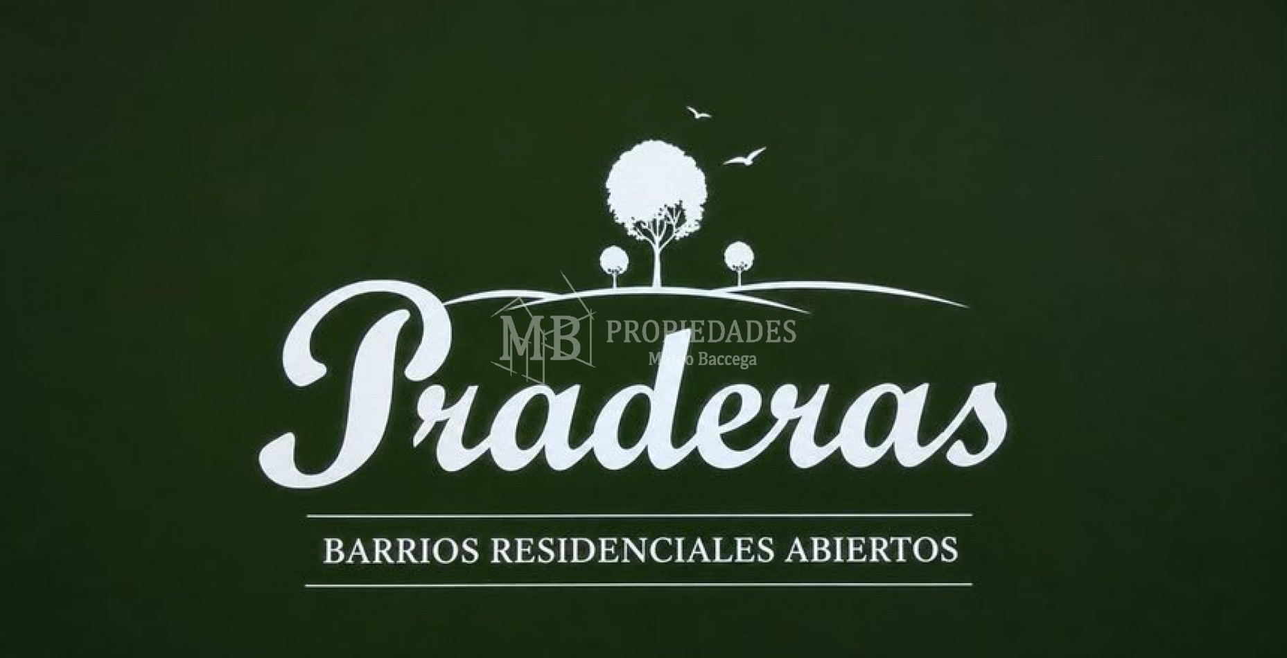 Venta