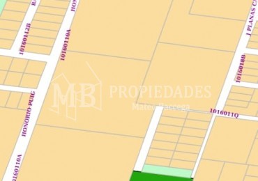 Oportunidad